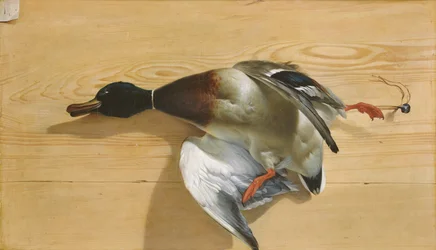A duck on a pine board, 1753